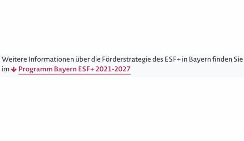 Ein Screenshot eines Downloadbereichs auf der Internetseite esf.bayern.de.